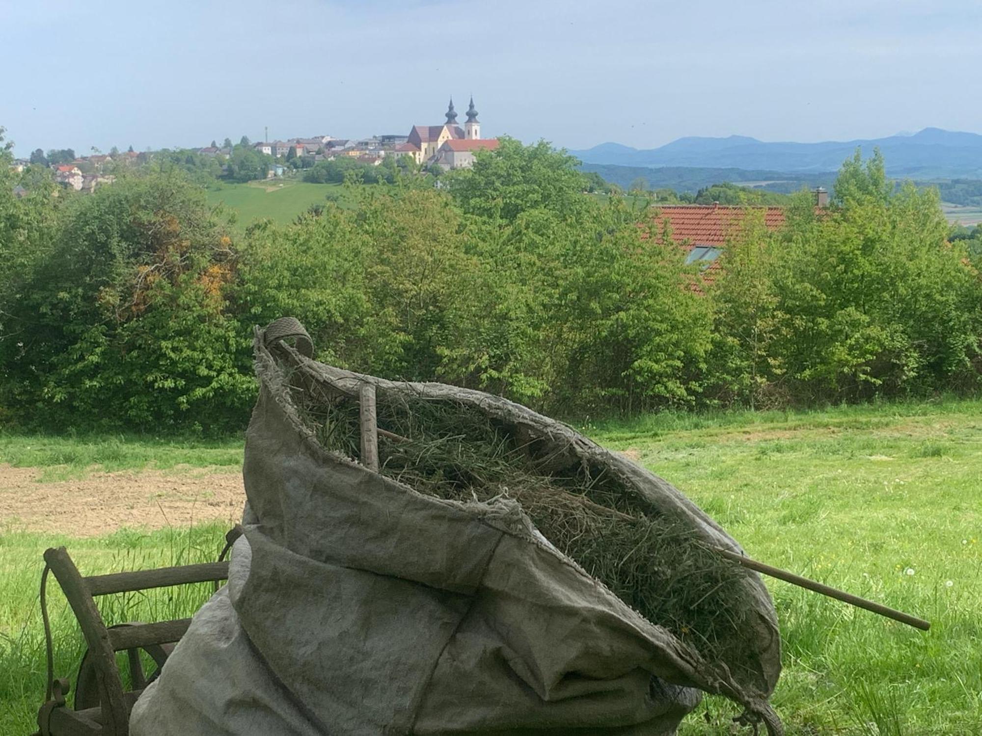 Апартаменты Pilgerrosenhof Мариа-Таферль Экстерьер фото